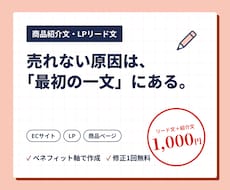 読まれる商品紹介文・LPリード文を作成します イメージ1
