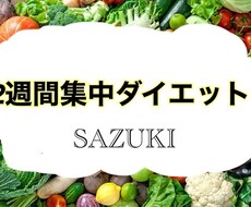 2週間集中ダイエットの食事指導をします イメージ1
