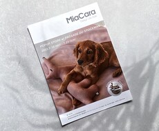 品のあるフライヤー＆チラシを制作します イメージ1