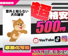 収益化可能！雑学系short動画を丁寧に作成します YouTube向けに収益化を目標に作成します！ご要望にも対応