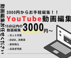 3000円でYouTubeの動画編集します あなたの動画をサクッと仕上げます！3000円でお手軽編集！