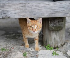 愚痴にもならない小さなモヤモヤ聞きます イメージ1