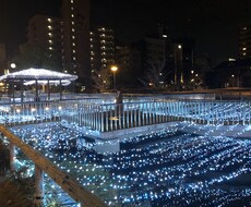 あなたの力になりたい。相談、愚痴など待っています 人生経験豊富な方と思います。お任せ下さい。