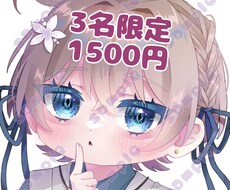 アイコン映えするミニキャラアイコン描きます おめめパッチリでSNSのアイコン映えすること間違いなし！