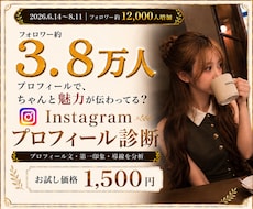 3.8万人運用者がプロフィール診断します イメージ1