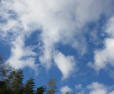 あなたの心を癒します イメージ1