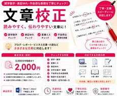 文章校正｜誤字脱字・表記ゆれを丁寧にチェックします イメージ1