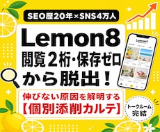 SEO歴20年×SNS4万人の私が個別診断します Lemon8閲覧2桁から脱出！伸びない原因を抜粋添削