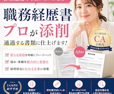 人材会社CAが本音で職務経歴書添削します イメージ1