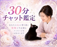 30分チャット｜霊視×タロットで心に寄り添います 恋愛・仕事・人間関係 ✤ 30分間、LINE感覚で！
