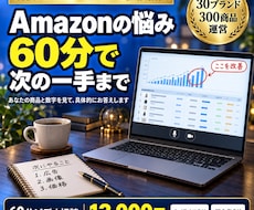 Amazon出品・広告の相談に60分で答えます 現役セラーがあなたの数字を見て次の一手を提案｜初心者OK