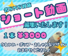 1本3000￥！ショート動画編集いたします イメージ1