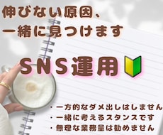 SNS運用相談◇伸びない原因を一緒に見つけます イメージ1