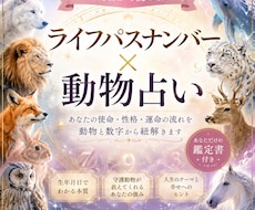 生年月日から“魂獣タイプ”を読み解きます イメージ1