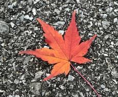 お話聞きます イメージ1