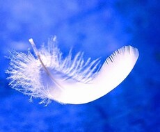 未来に輝く貴方を幸せにします 貴方の努力に応援、すぐに役立つをアドバイスします！
