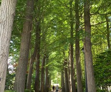 気：自分の人生に迷った方、まずはご相談乗ります イメージ1