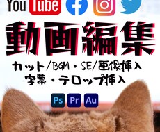 YouTube向けASMR動画丸投げ編集致します イメージ1