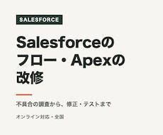 Salesforceの改修・不具合修正をします イメージ1
