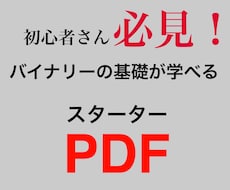 分かりやすいBO基礎編のPDFをお届けします イメージ1