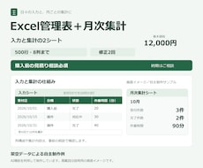 入力しやすいExcel管理表と月次集計を作ります イメージ1