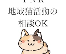 TNRのやり方を経験者が教えます 動物看護師が丁寧にアドバイスします