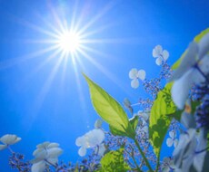 悩み、悲しみ、怒り、妬みetcなんでも聞きます イメージ1