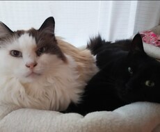 その愚痴や悩み今すぐお聞きします イメージ1