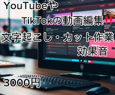 YouTubeの動画編集をします イメージ1