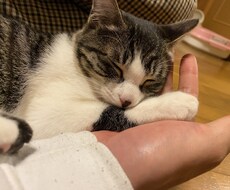 あなたの悩みを18歳の男性が相談にのります イメージ1