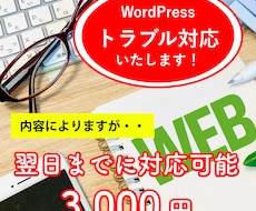 当日対応！WordPressのトラブル解決します イメージ1