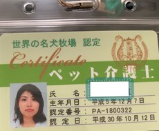 多頭飼い等犬の飼育悩み相談にのります イメージ1