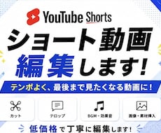 ショート動画を3本3,000円で編集します イメージ1