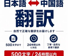 日本語⇔中国語を自然な表現で翻訳します イメージ1