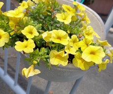 お話ききます イメージ1