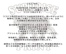 衣類へのシルクスクリーンプリントします イメージ1