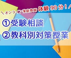 体験（90分）・京大卒がオンライン家庭教師をします 塾講師歴6年・英語数学物理化学の基礎から応用まで丁寧に解説