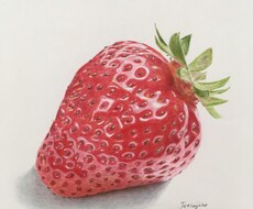 色鉛筆で、あなたが描いて欲しい絵を描きます イメージ1