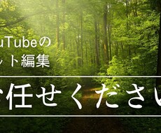 動画のカット編集のみ代行します イメージ1
