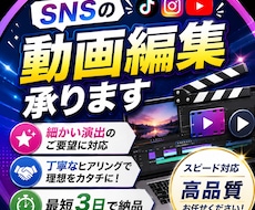 YouTubeやTikTokなどの編集を承ります イメージ1