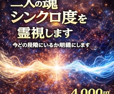 二人の魂シンクロ度を霊視します イメージ1