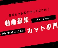 動画編集カット承ります イメージ1