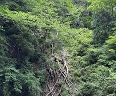 あなたの恋愛の悩みに終止符を打ちます イメージ1
