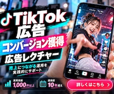TikTok広告の設定代行やレクチャー致します イメージ1