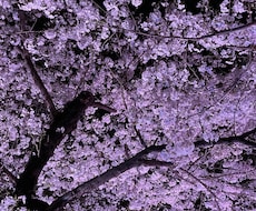 Instagramのリール動画編集をいたします イメージ1