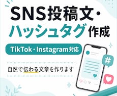 SNS投稿文とハッシュタグを考えます イメージ1