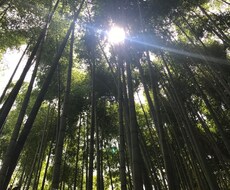 あなたのお話しお聴きします イメージ1