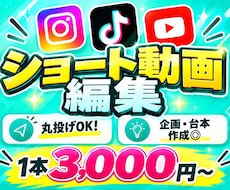 1本3,000円から動画作ります イメージ1