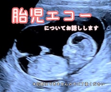 現役助産師が胎児エコーの疑問にお答えします イメージ1