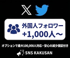 X(Twitter)外国人フォロワー手配します 最速即日！お求めやすい価格でアカウントの権威性を高めます